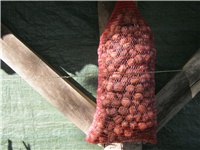 5a554c5d-Picture cviće 3 071.jpg